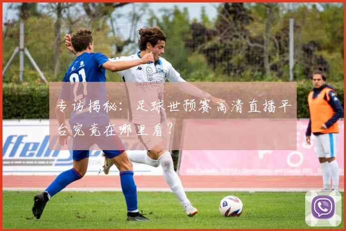 专访揭秘：足球世预赛高清直播平台究竟在哪里看？