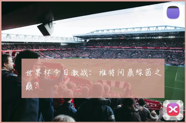 世界杯今日激战：谁将问鼎绿茵之巅？
