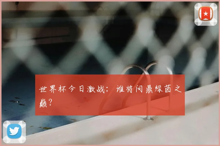 世界杯今日激战：谁将问鼎绿茵之巅？