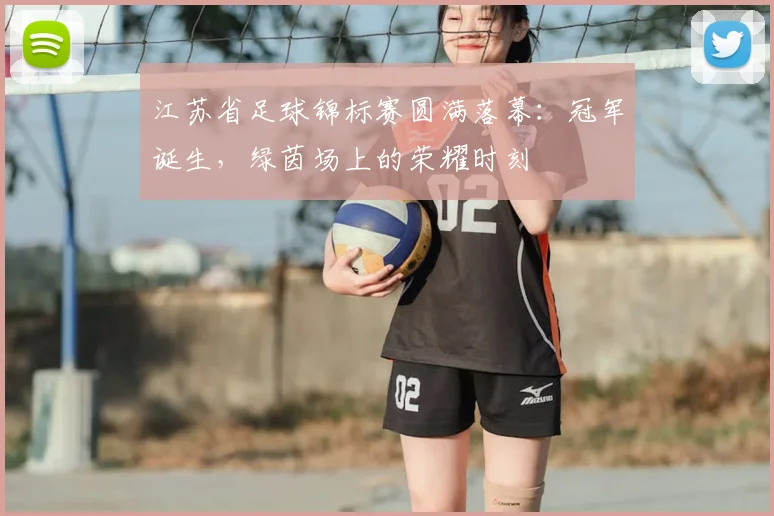 江苏省足球锦标赛圆满落幕：冠军诞生，绿茵场上的荣耀时刻